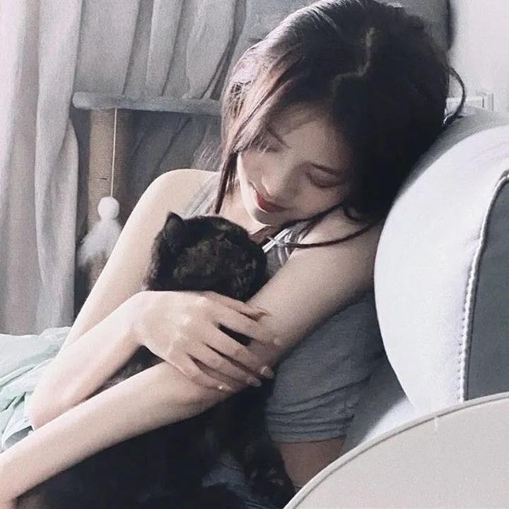 不疯不狂不爱你
